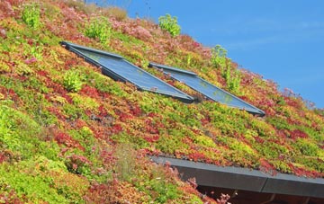 Huxham Green living roof systems